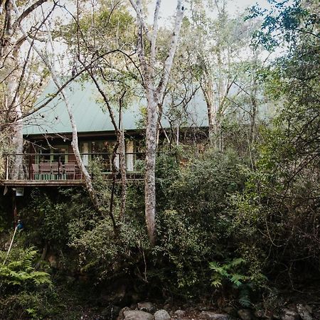 Rockwood Karkloof Forest Lodge & Mountain Cabin Yarrow Dış mekan fotoğraf