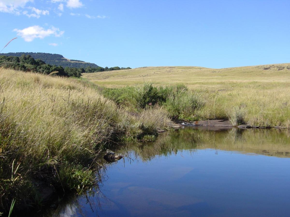 Rockwood Karkloof Forest Lodge & Mountain Cabin Yarrow Dış mekan fotoğraf