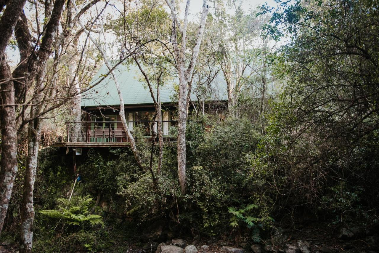 Rockwood Karkloof Forest Lodge & Mountain Cabin Yarrow Dış mekan fotoğraf